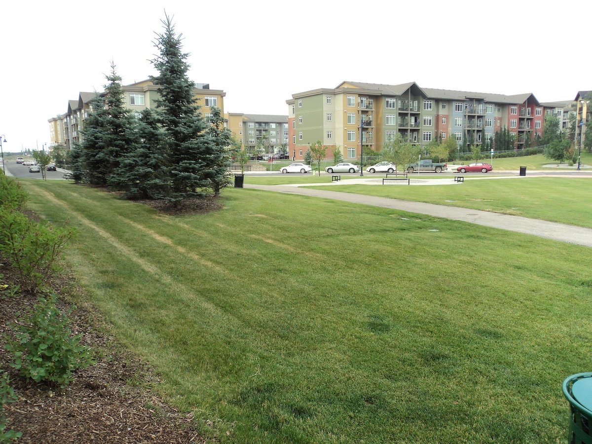 403 Mackenzie Way Southwest - Photo 19