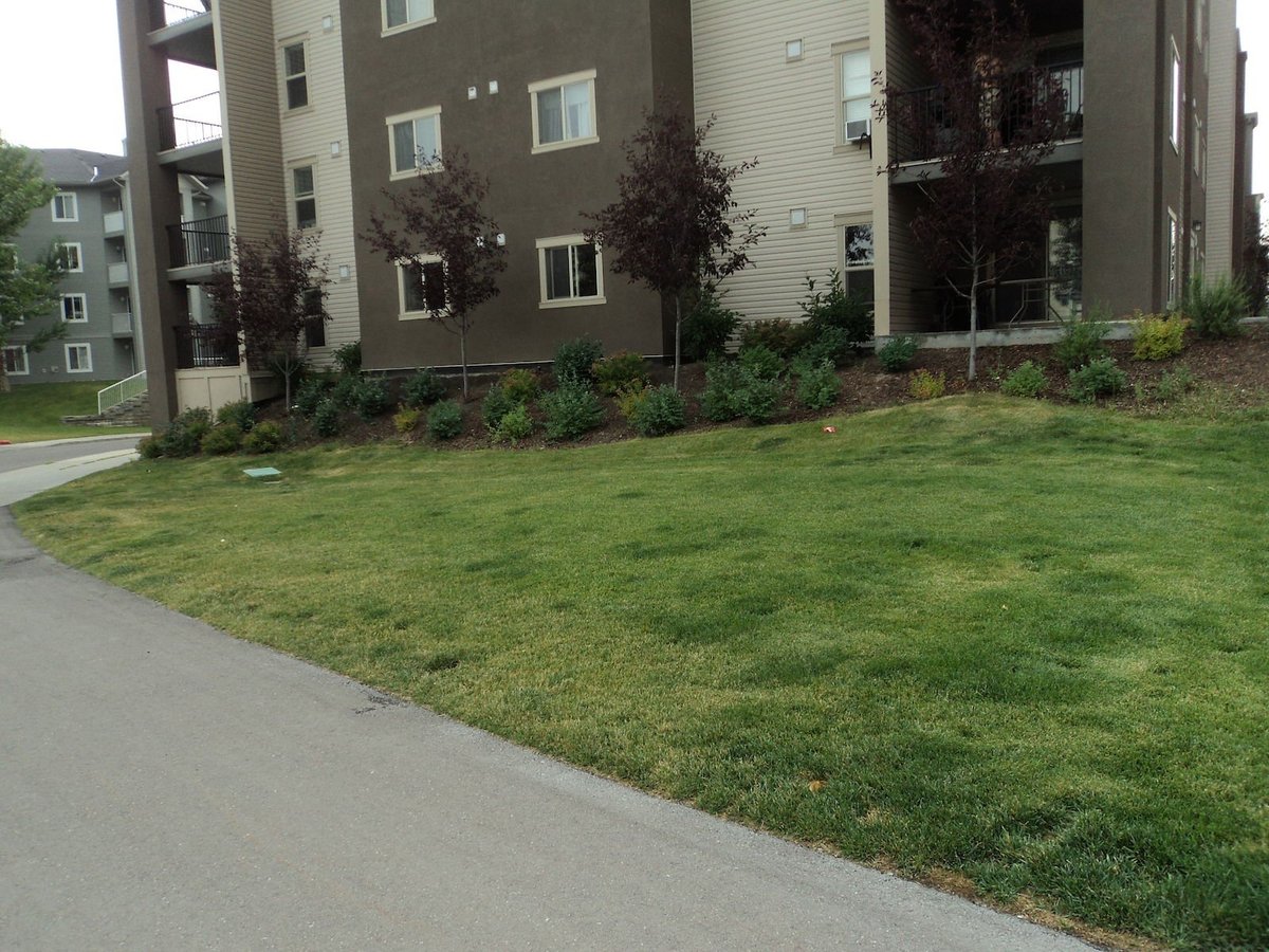 403 Mackenzie Way Southwest - Photo 20