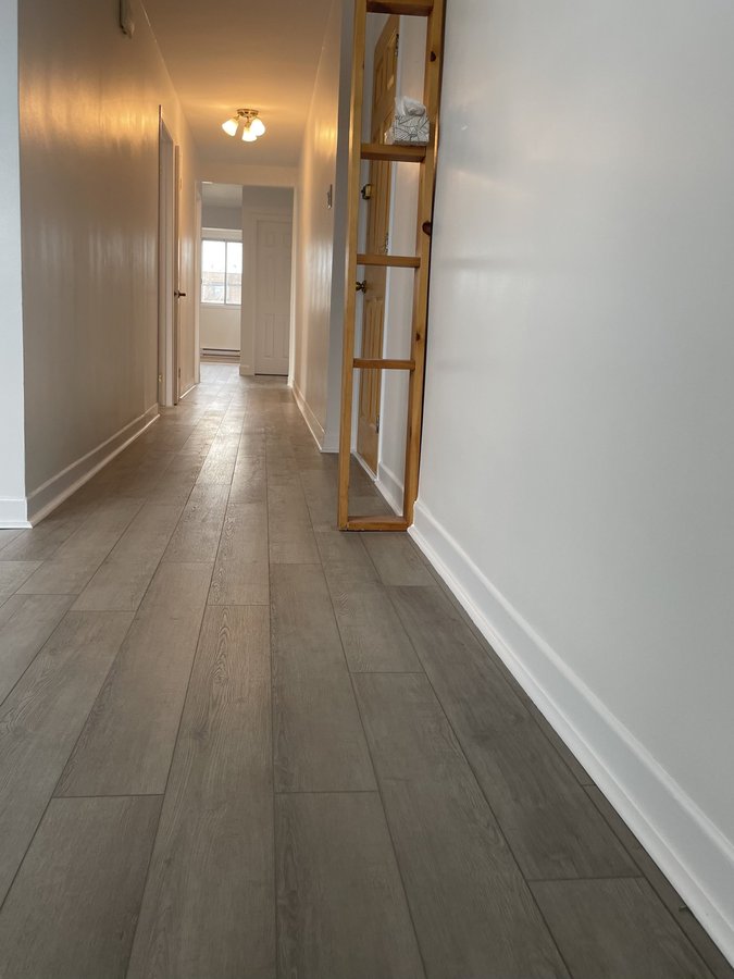 6342 Boulevard des Roseraies - Photo 4