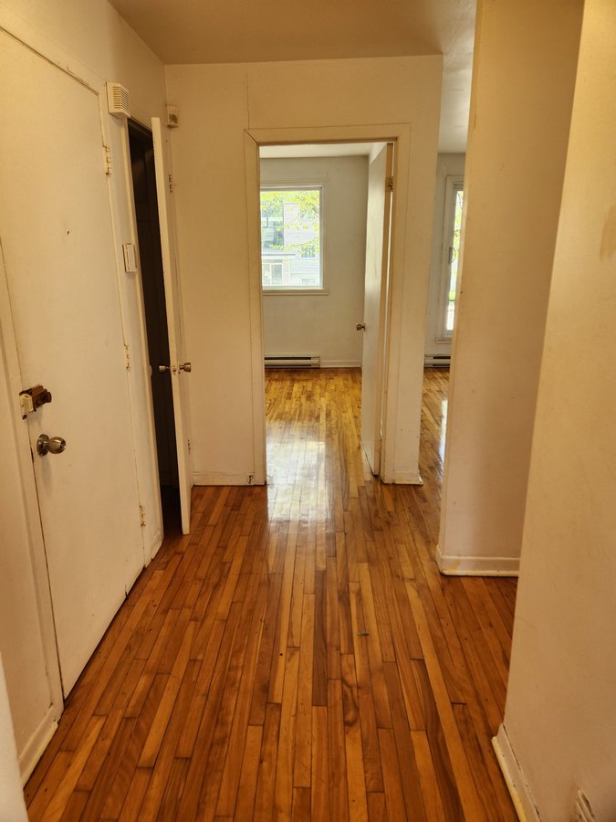 7301 Avenue des Ormeaux - Photo 5