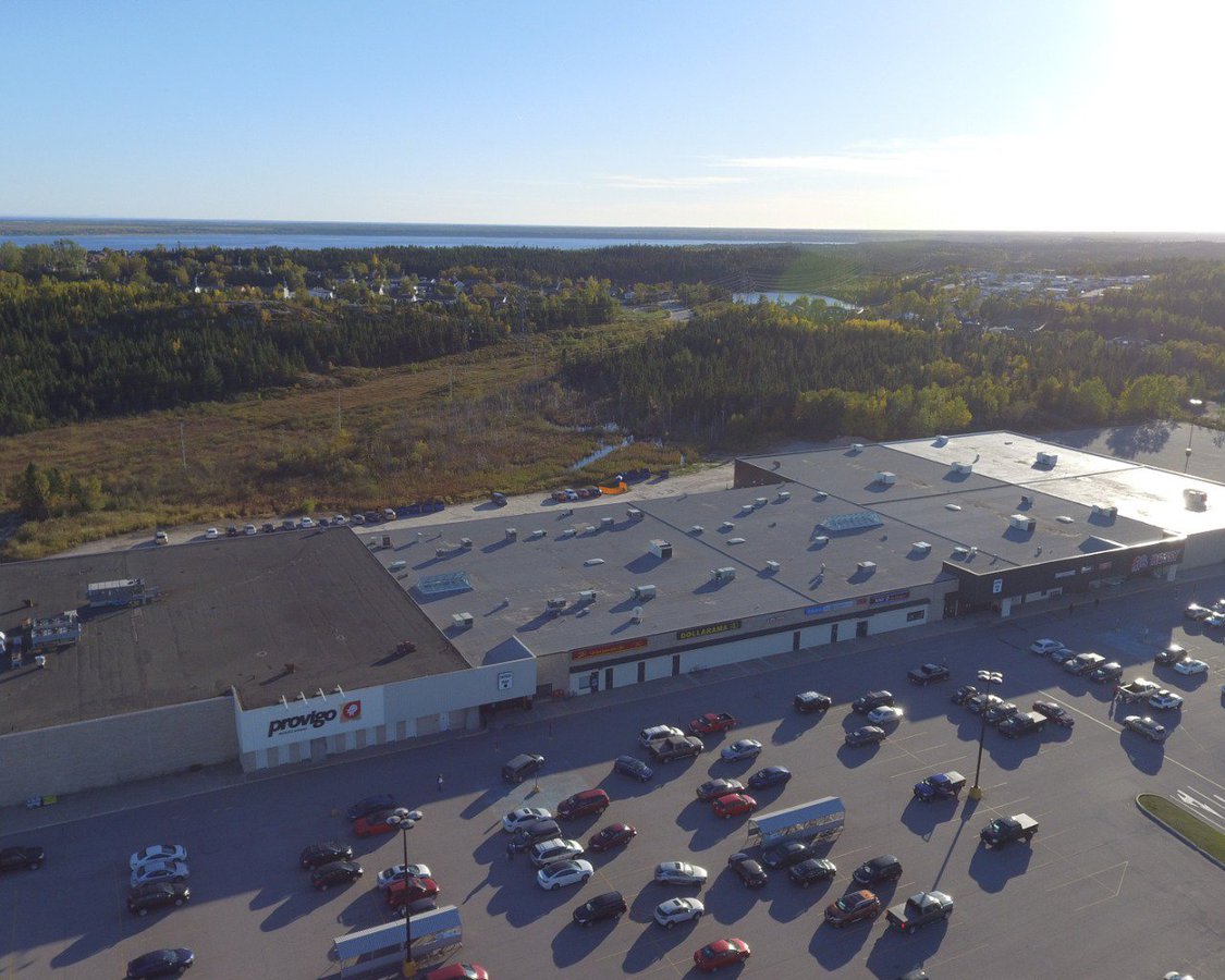 Rentals.ca Apartments, Condos and Houses For Rent