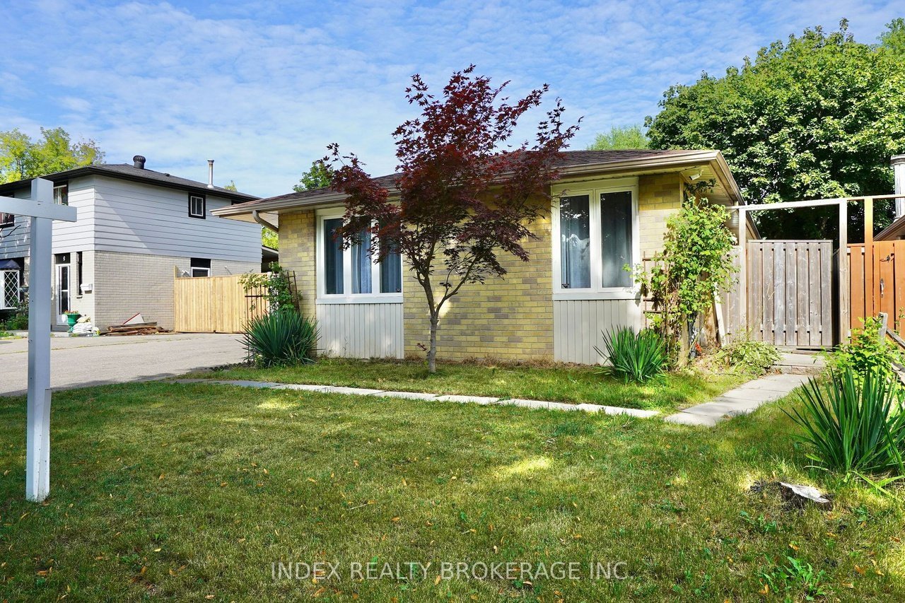 Brampton ON Basement Apartments for Rent