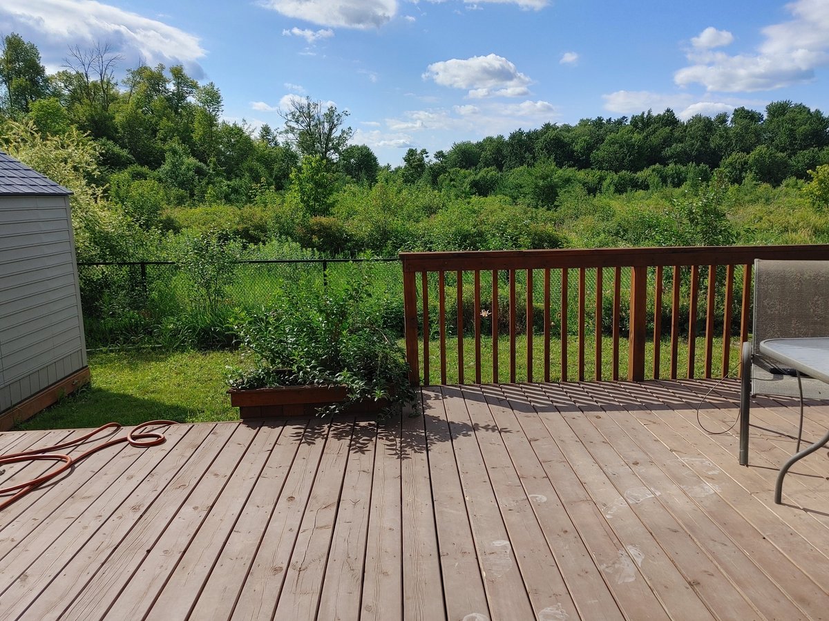 Rentals.ca Mount Pleasant Brampton Apartments, Condos and Houses For Rent