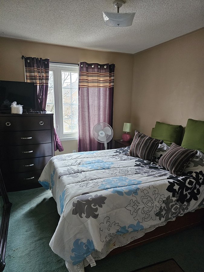 Apartments Condos and Houses for Rent Under 1,000 in Brampton