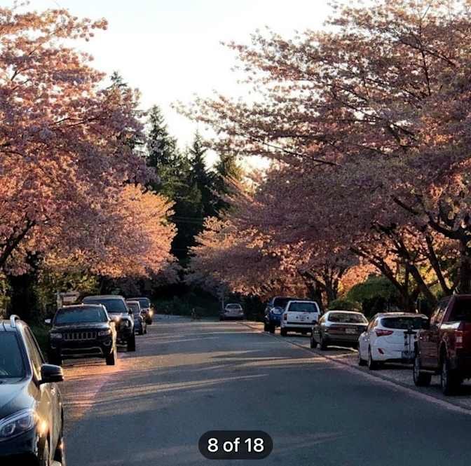 Westridge - Photo 7