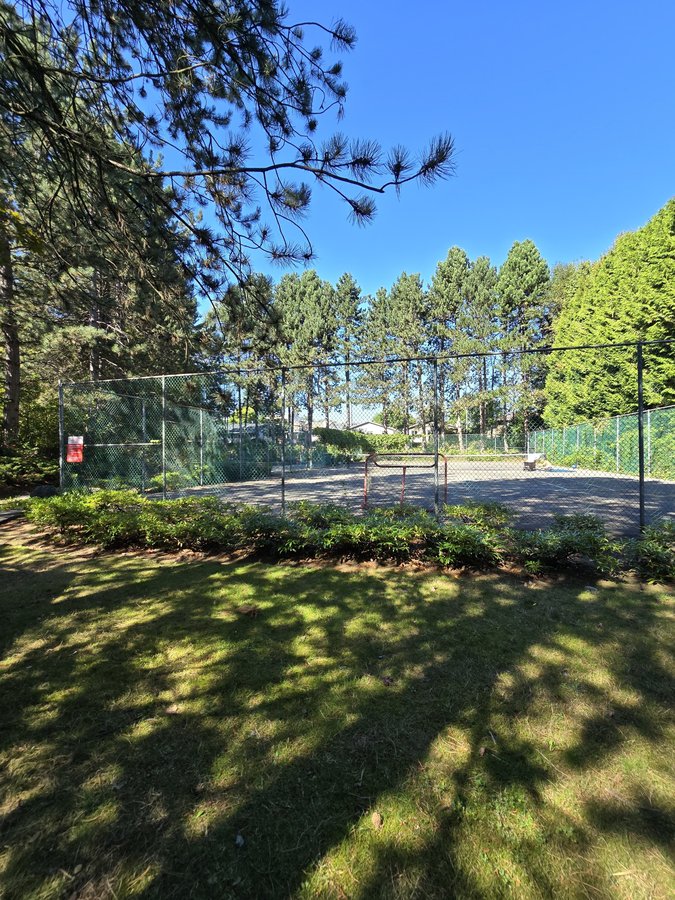 4363 Halifax Street - Photo 9