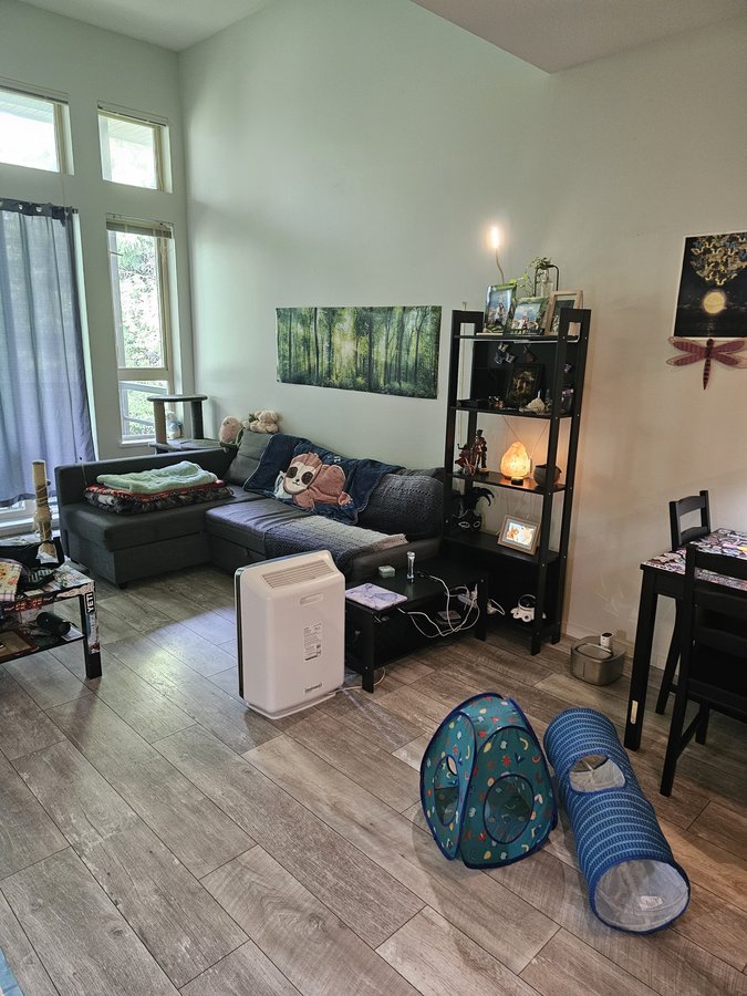 9319 University Crescent - Photo 13