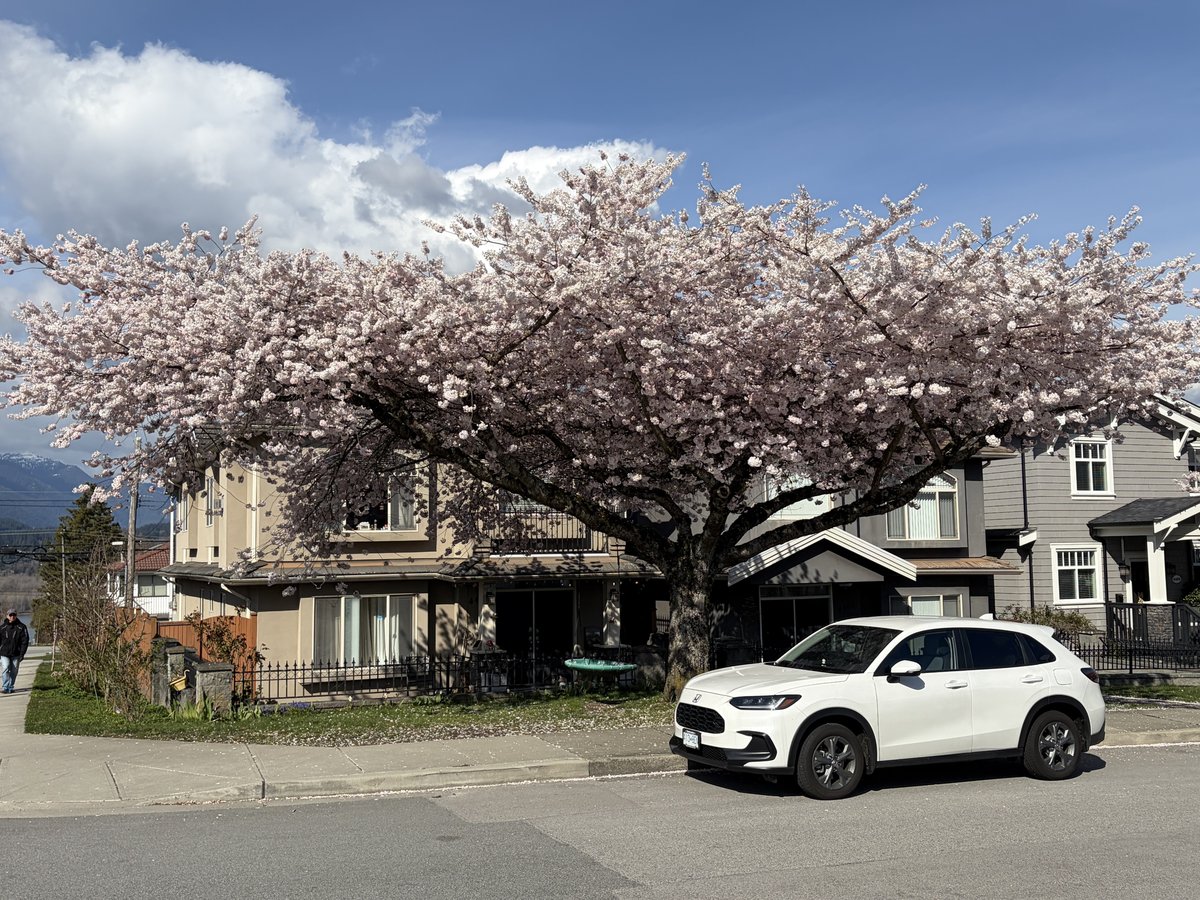 4401 Oxford Street - Photo 4