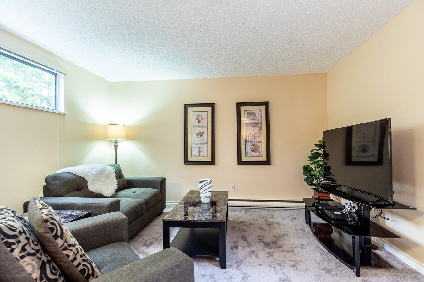 9125 Capella Drive - Photo 1