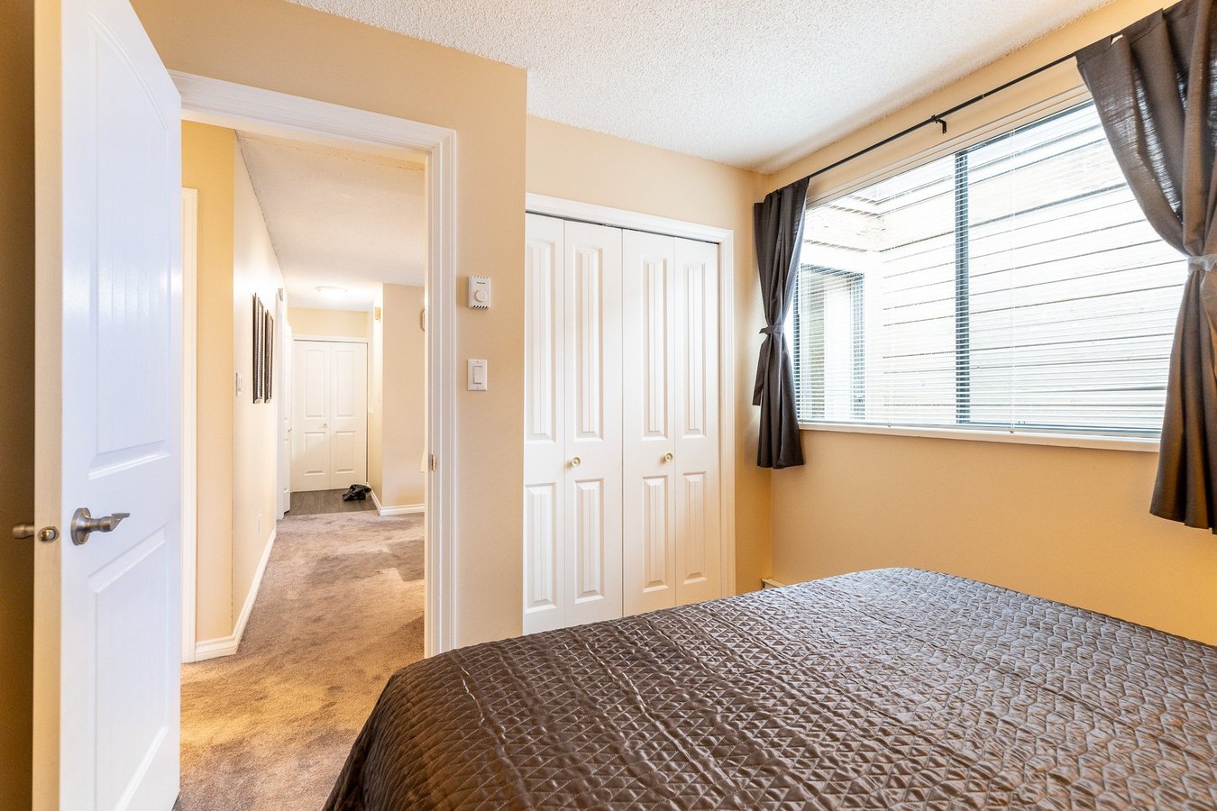 9125 Capella Drive - Photo 8