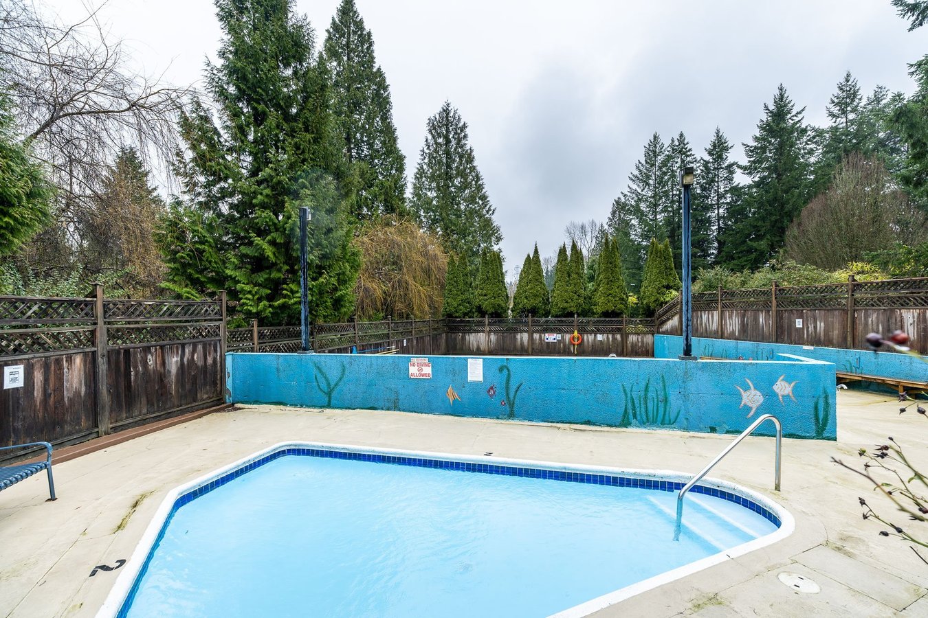 9125 Capella Drive - Photo 14