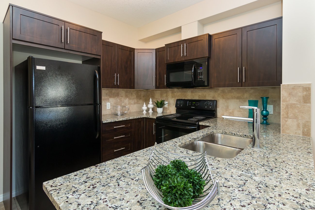 Calgary Pet Friendly Dogs and Cats Apartments Condos and Houses