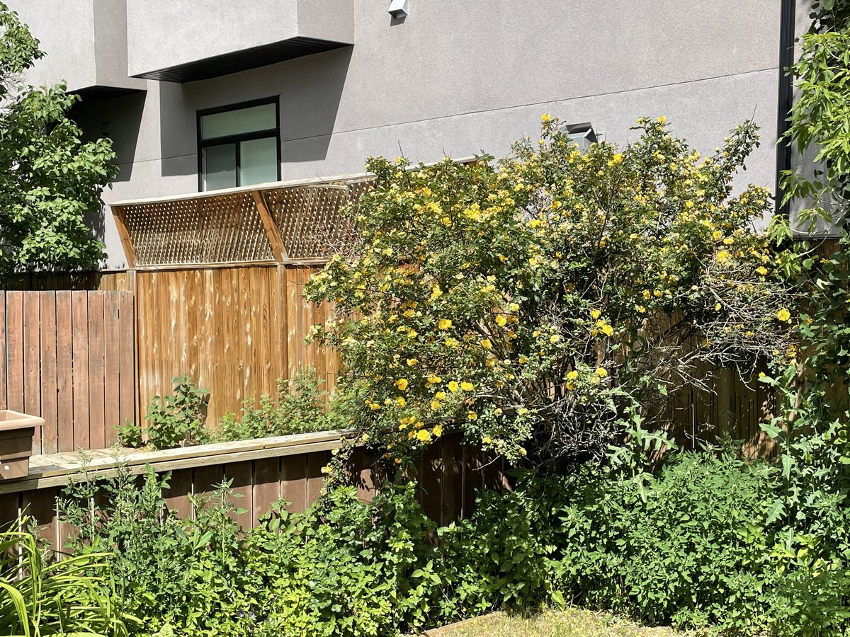 2451 28 Avenue Southwest - Photo 23
