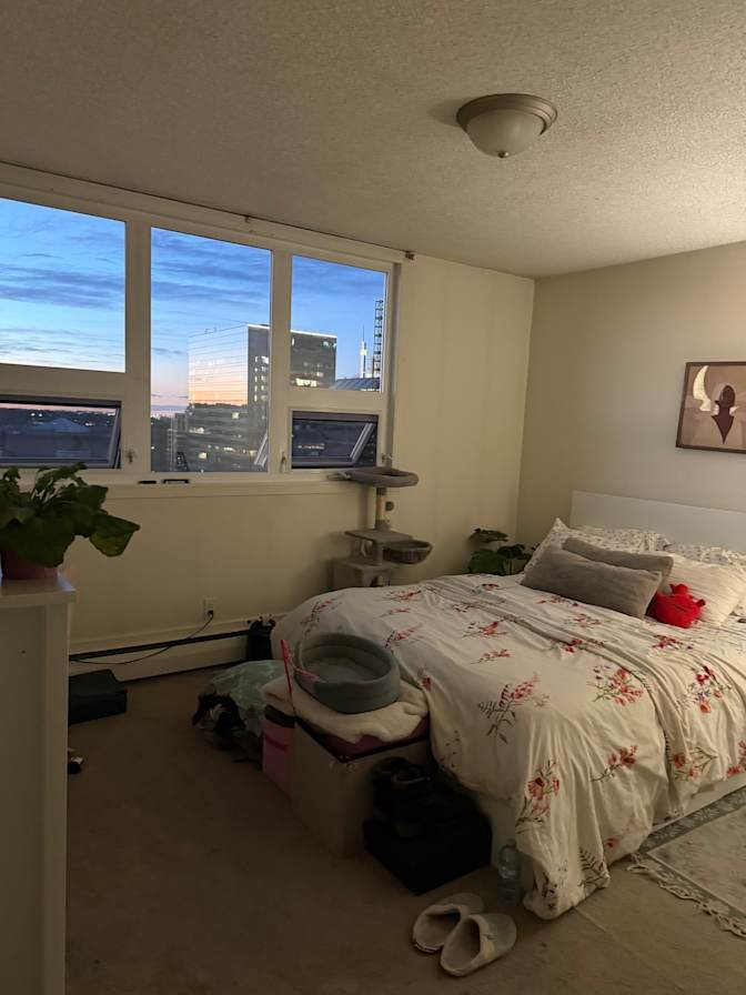Downtown Commercial Core - Photo 2