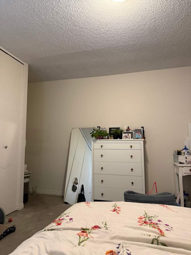 Downtown Commercial Core - Photo 6