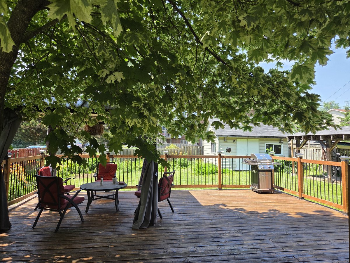 31 Herriott Street - Photo 2
