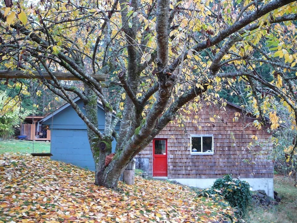 Henry Rd - Photo 10
