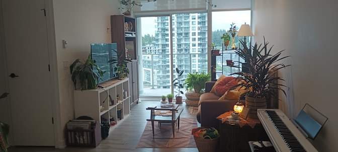 Southwest Coquitlam - Photo 6
