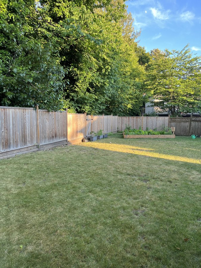 2826 Windrum Avenue - Photo 12