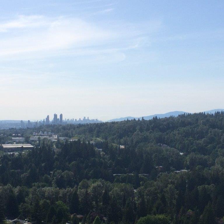 652 Whiting Way - Photo 4