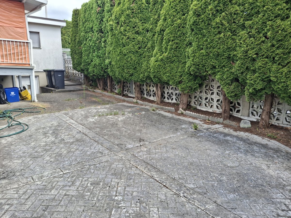 343 Richard Street - Photo 3