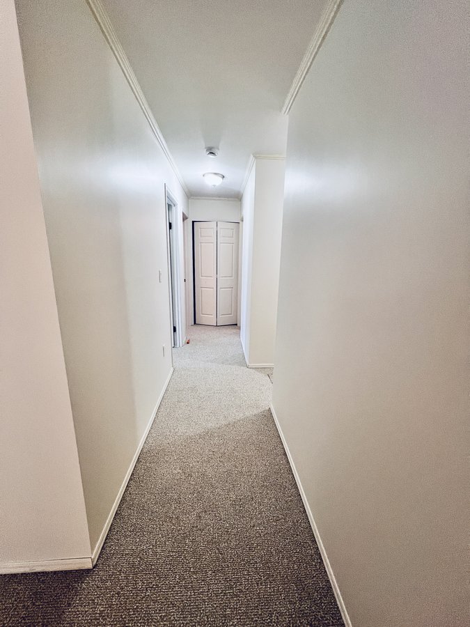 1001 Ridgeway Avenue - Photo 6