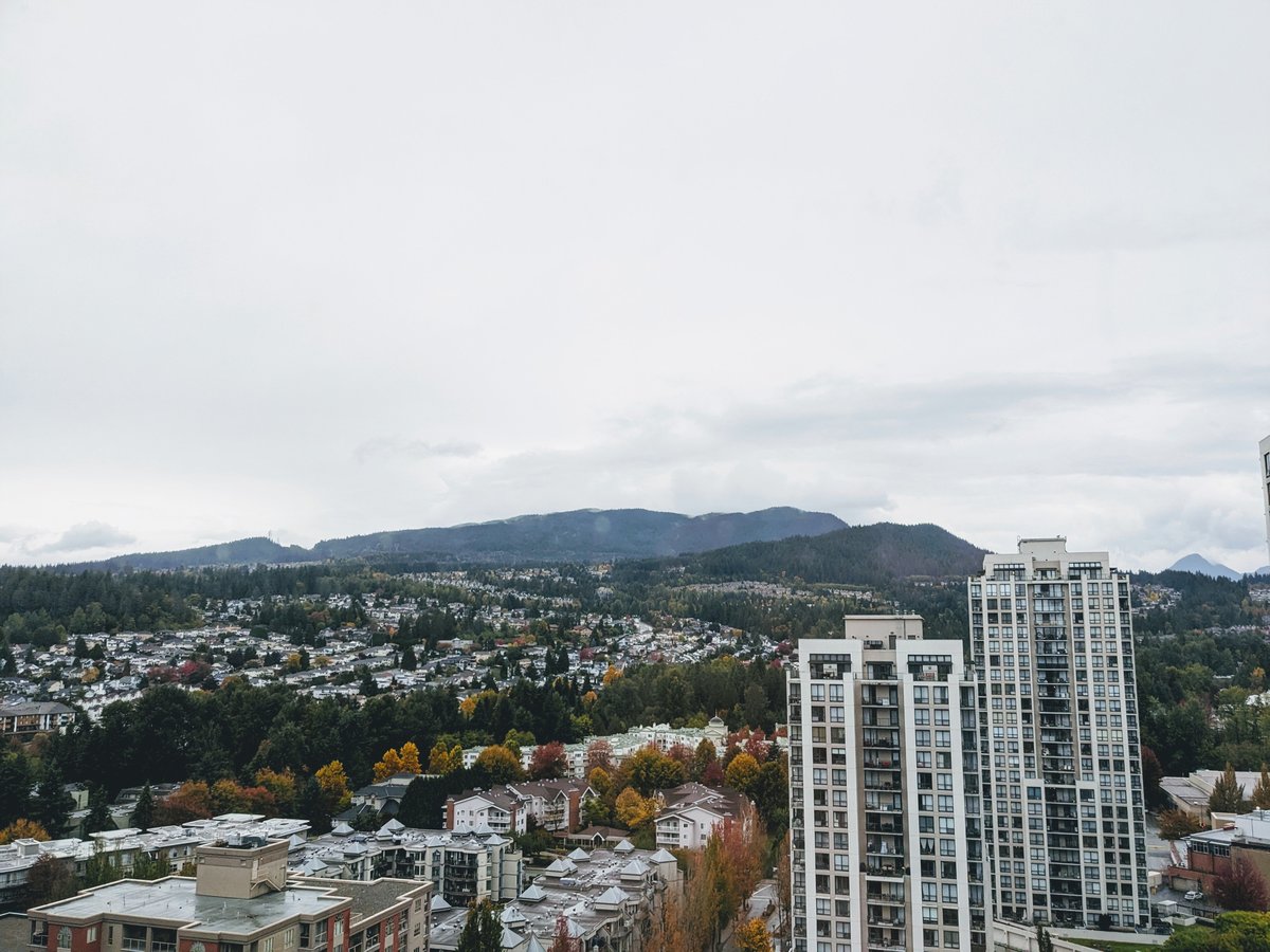 Rentals.ca Town Centre Coquitlam Apartments, Condos and Houses For Rent