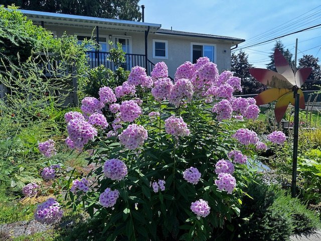 702 Blue Mountain Street - Photo 9