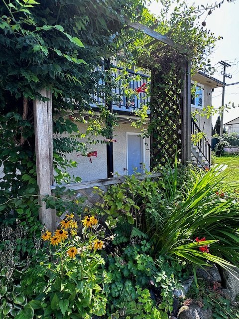 702 Blue Mountain Street - Photo 13