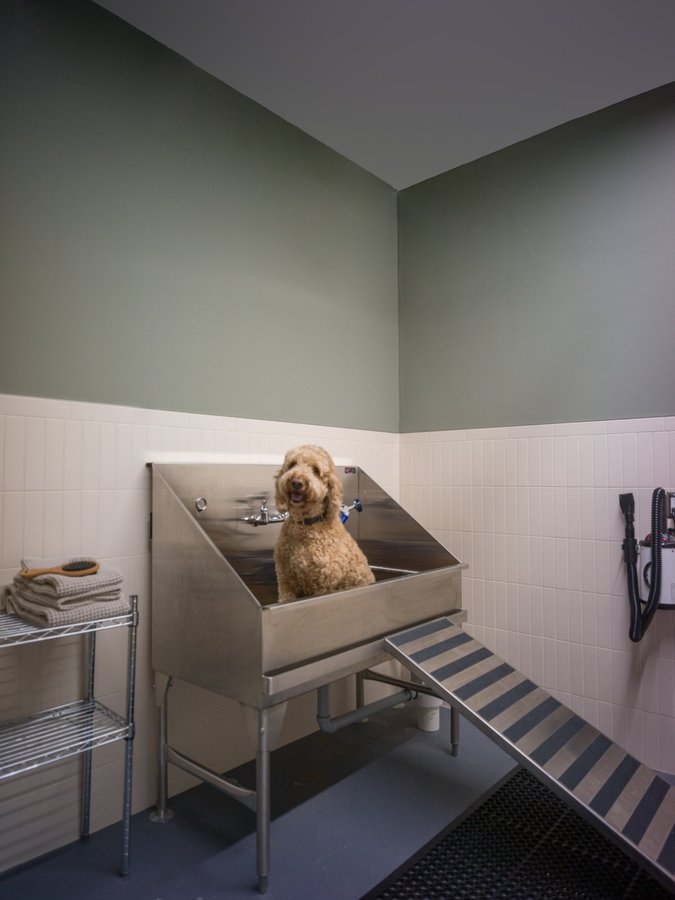 710 Dogwood Street - Photo 22
