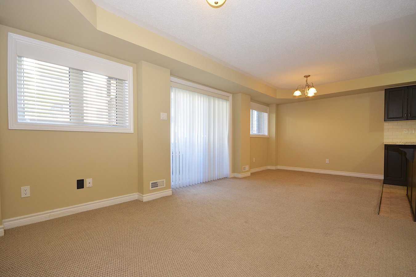 205 Bluestone Private - Photo 4