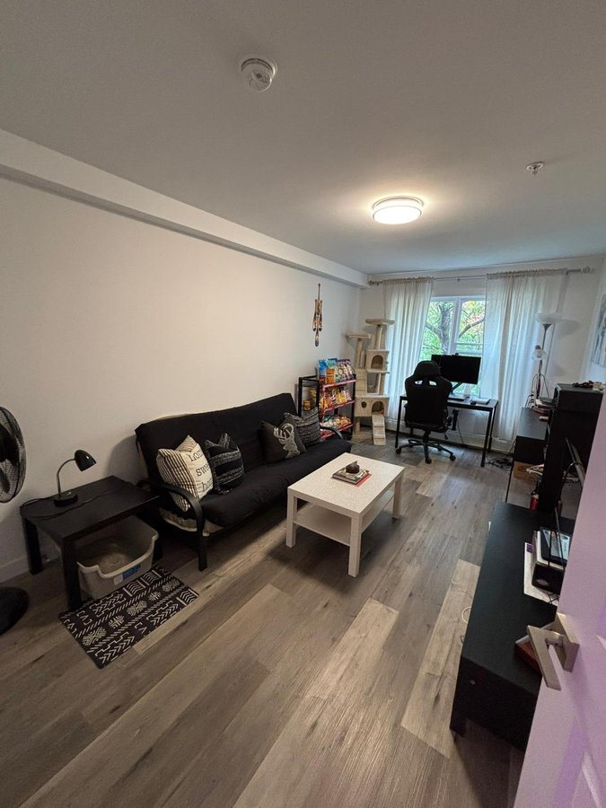 117 Richmond Street - Photo 19