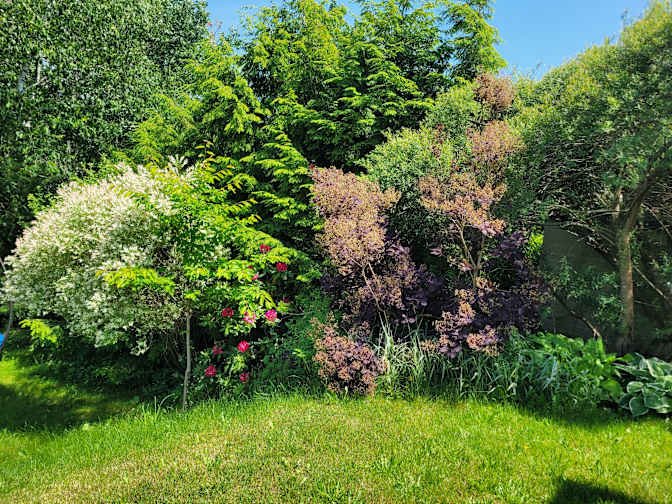 Bel Ayr - Photo 14