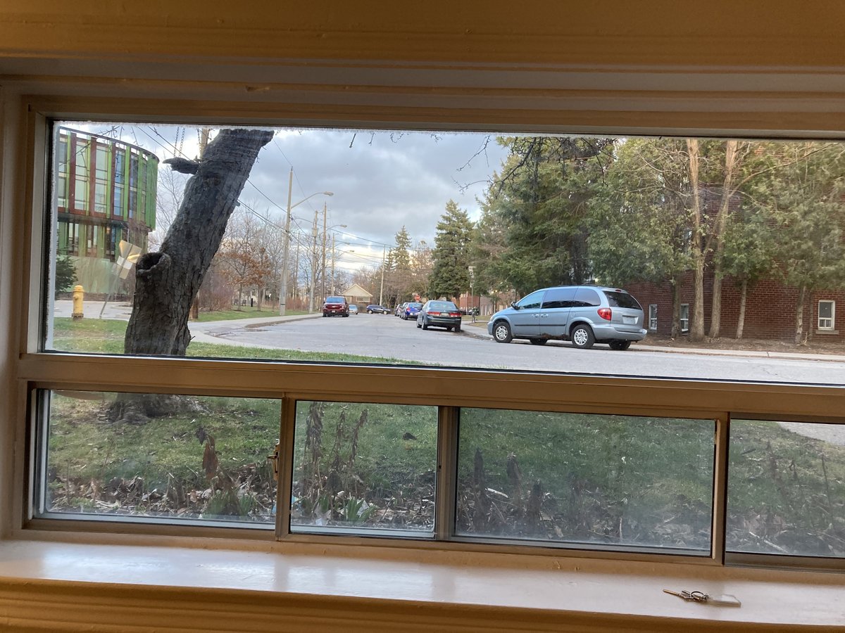 16 Fernwood Gardens - Photo 8