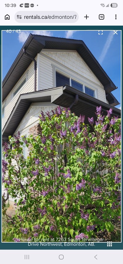 7263 Terwillegar Drive South Northwest - Photo 5