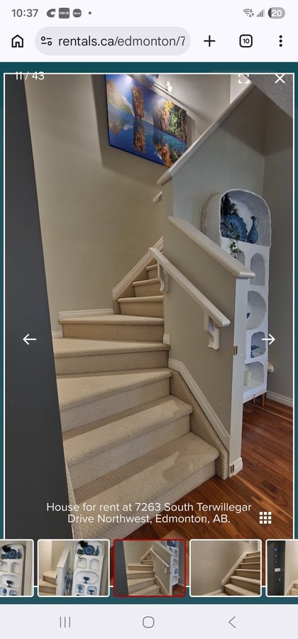 7263 Terwillegar Drive South Northwest - Photo 15