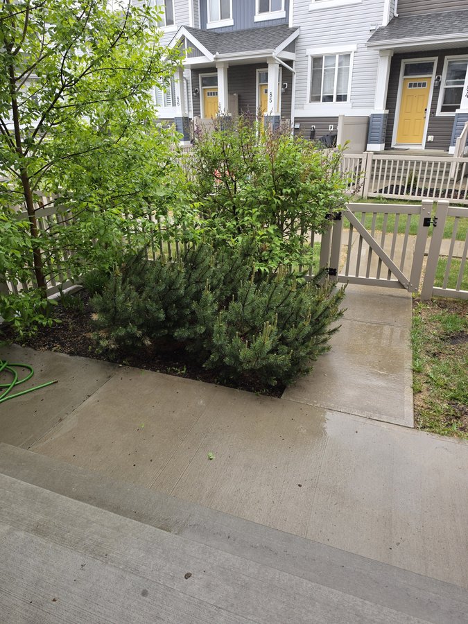 2905 141 Street Southwest - Photo 2
