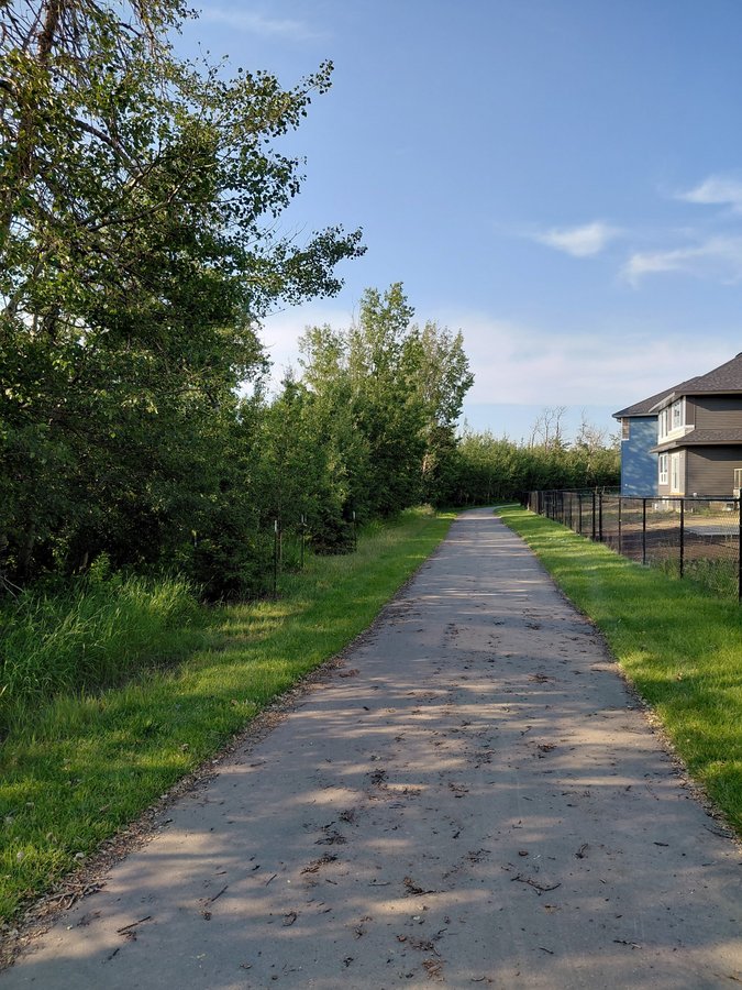 21203 25 Avenue Northwest - Photo 35