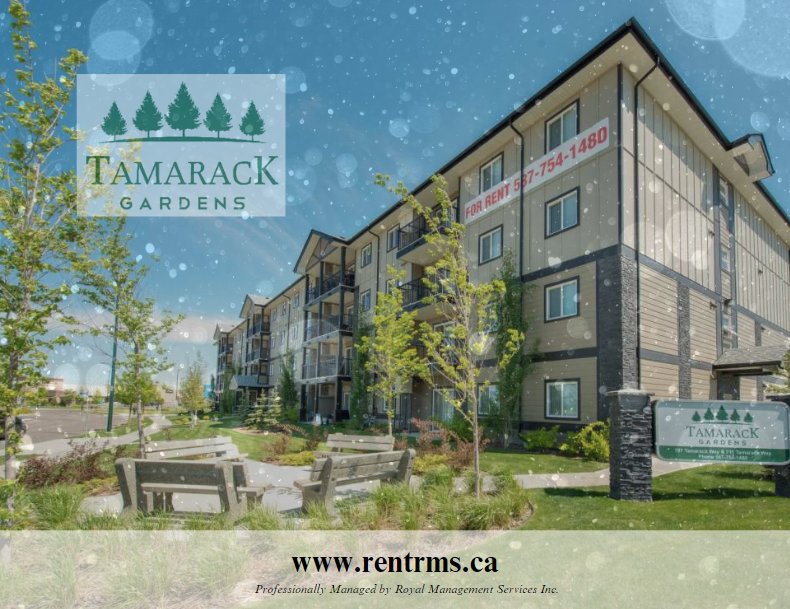 Rentals.ca Tamarack Edmonton Apartments, Condos and Houses For Rent