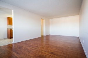 12403 Lansdowne Drive Northwest - Photo 5