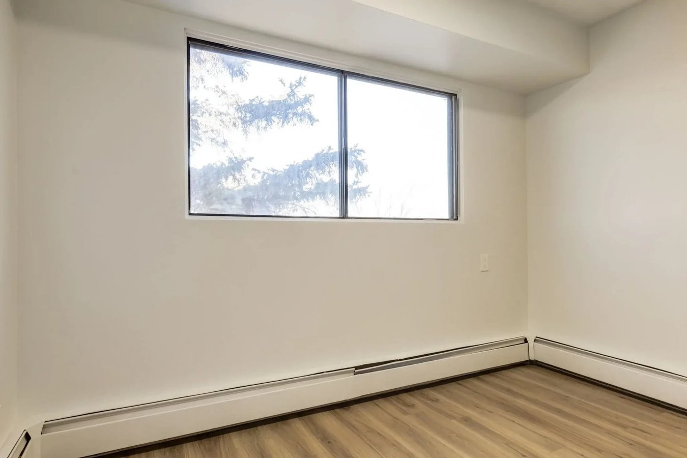South Ridge Apartments - Photo 8