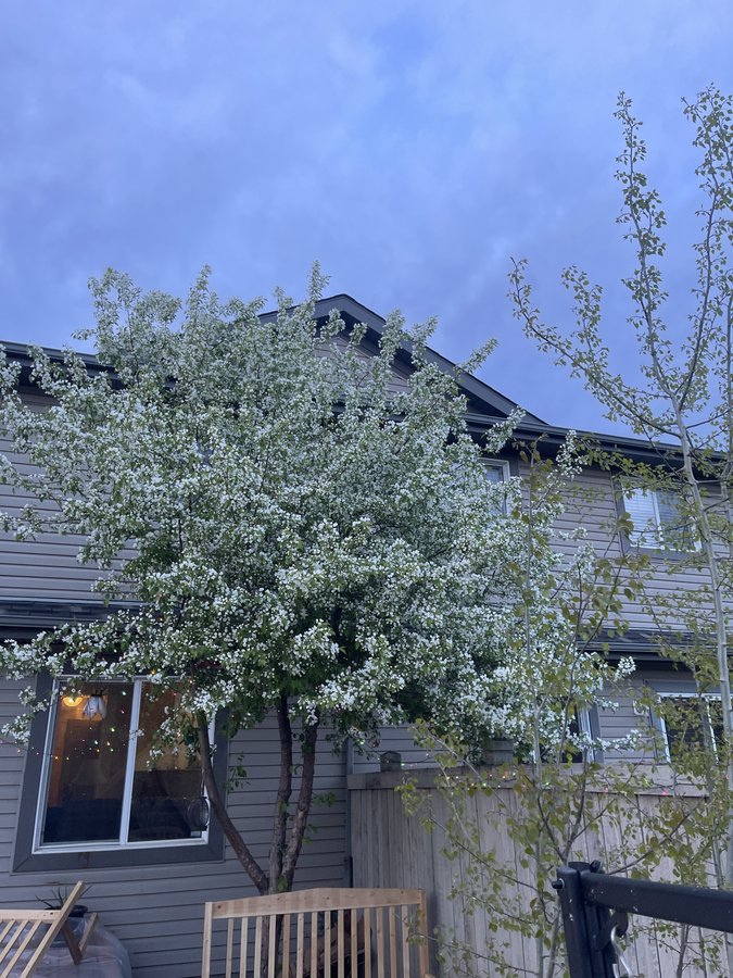 2333 Lemieux Place Northwest - Photo 41