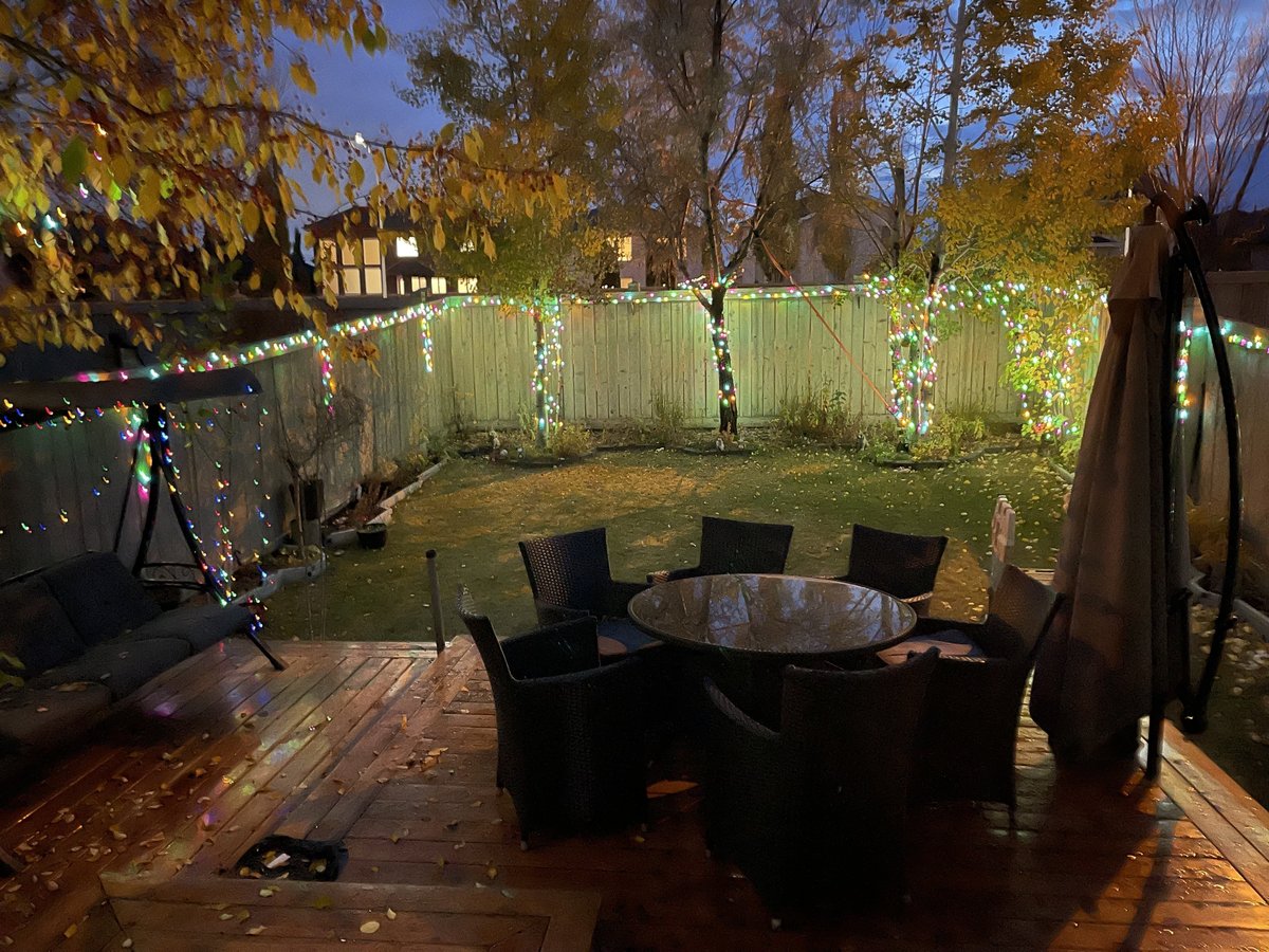 2333 Lemieux Place Northwest - Photo 27