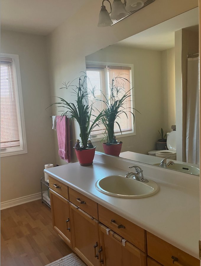 3427 Clayton Road - Photo 8