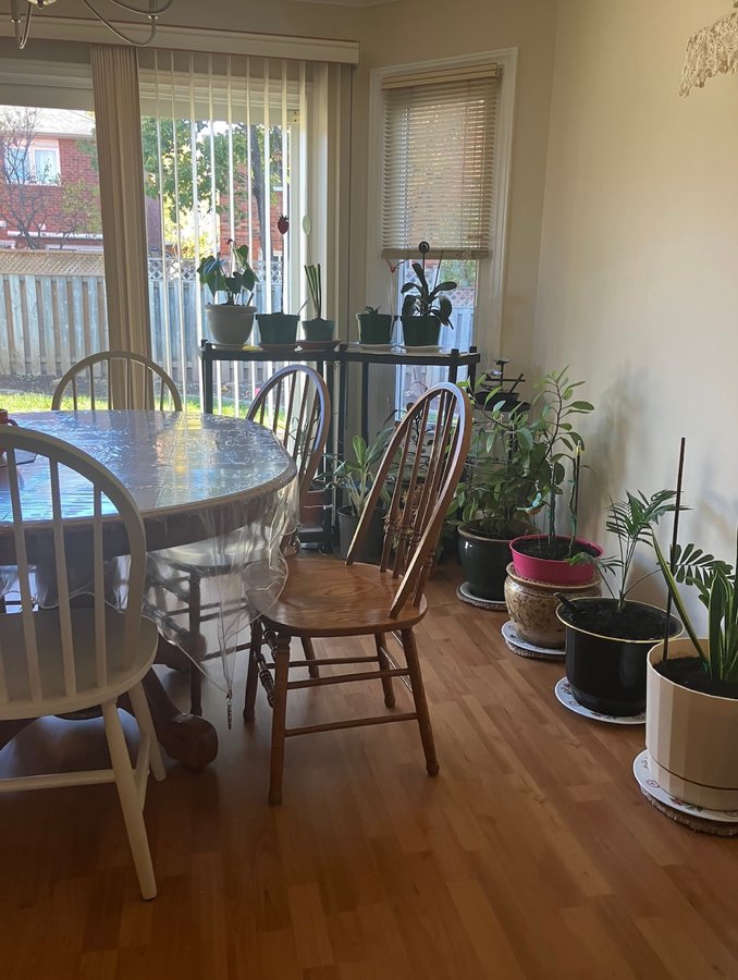 3427 Clayton Road - Photo 12