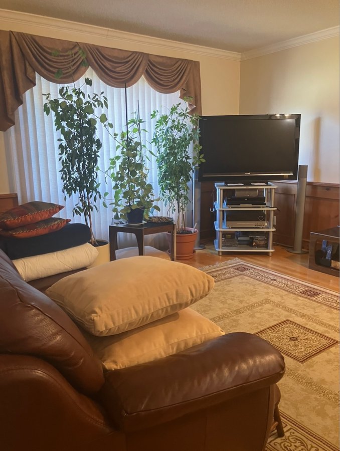 3427 Clayton Road - Photo 13