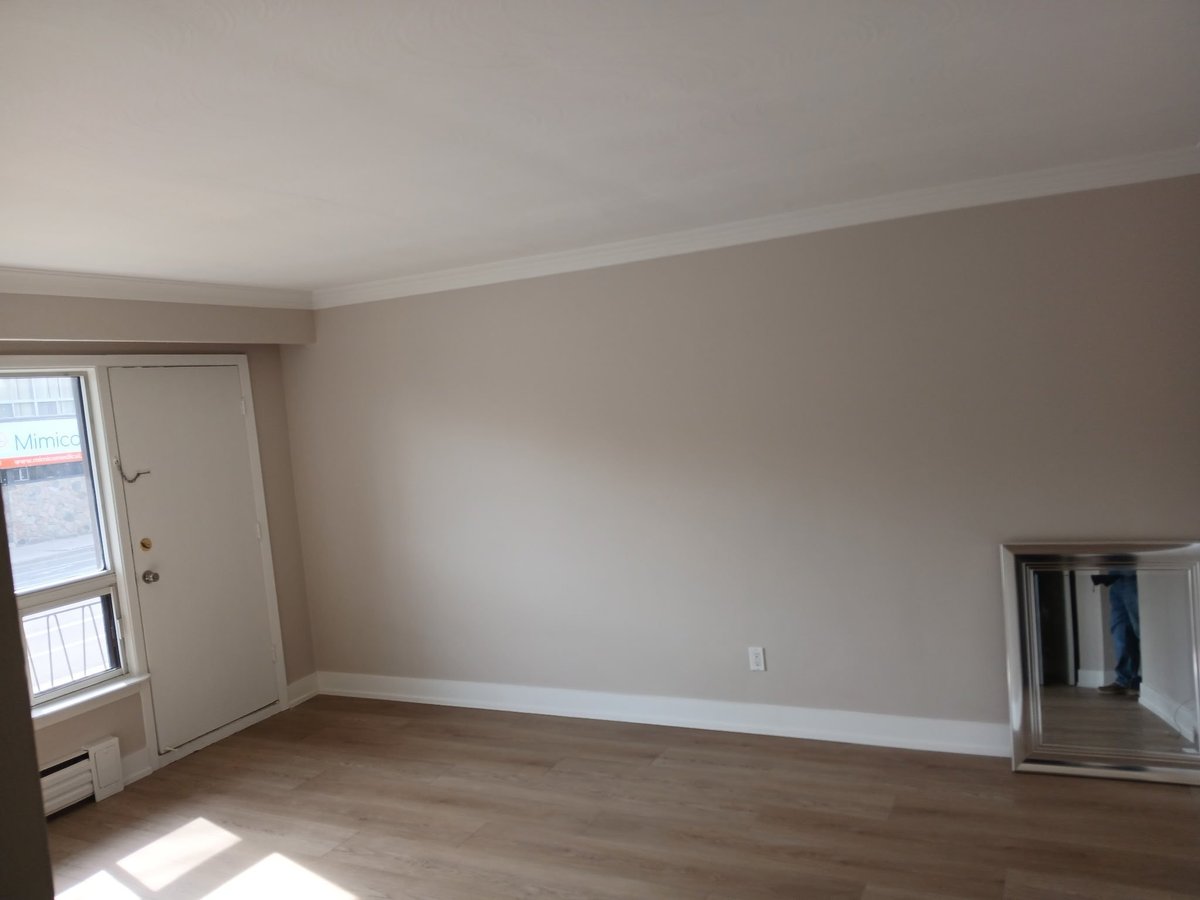 381 Royal York Road - Photo 3