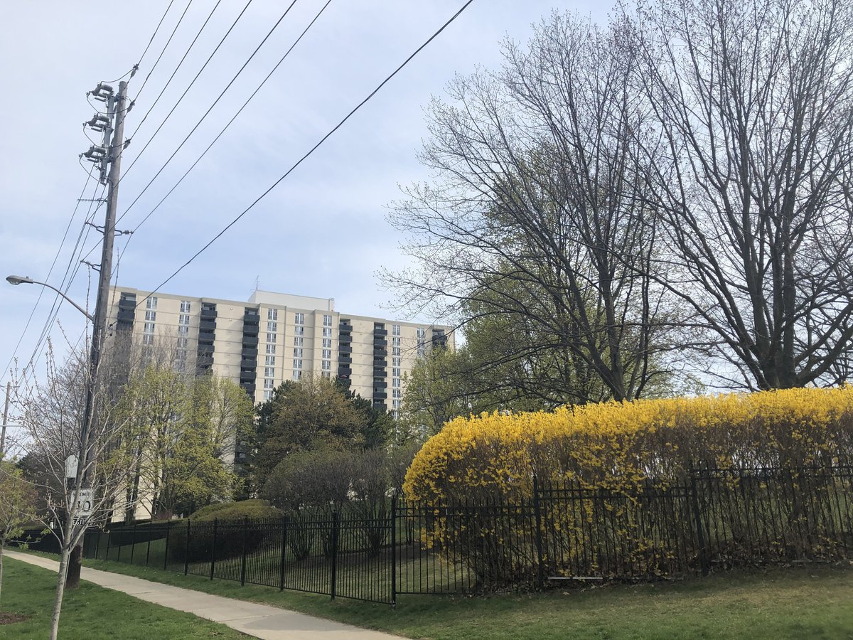 420 Mill Road - Photo 11