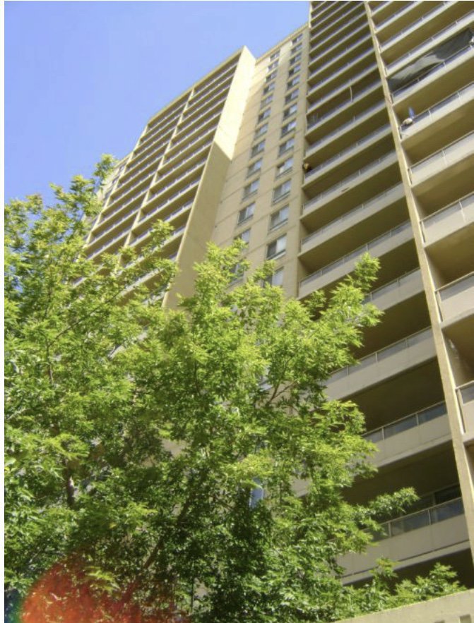 52 Mabelle Avenue - Photo 1