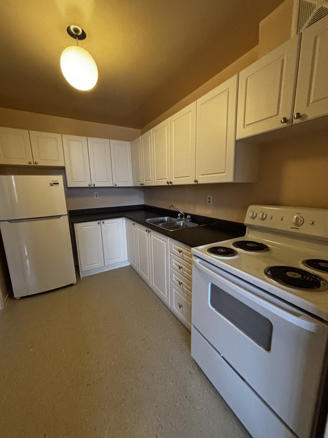 1875 Martin Grove Road - Photo 8
